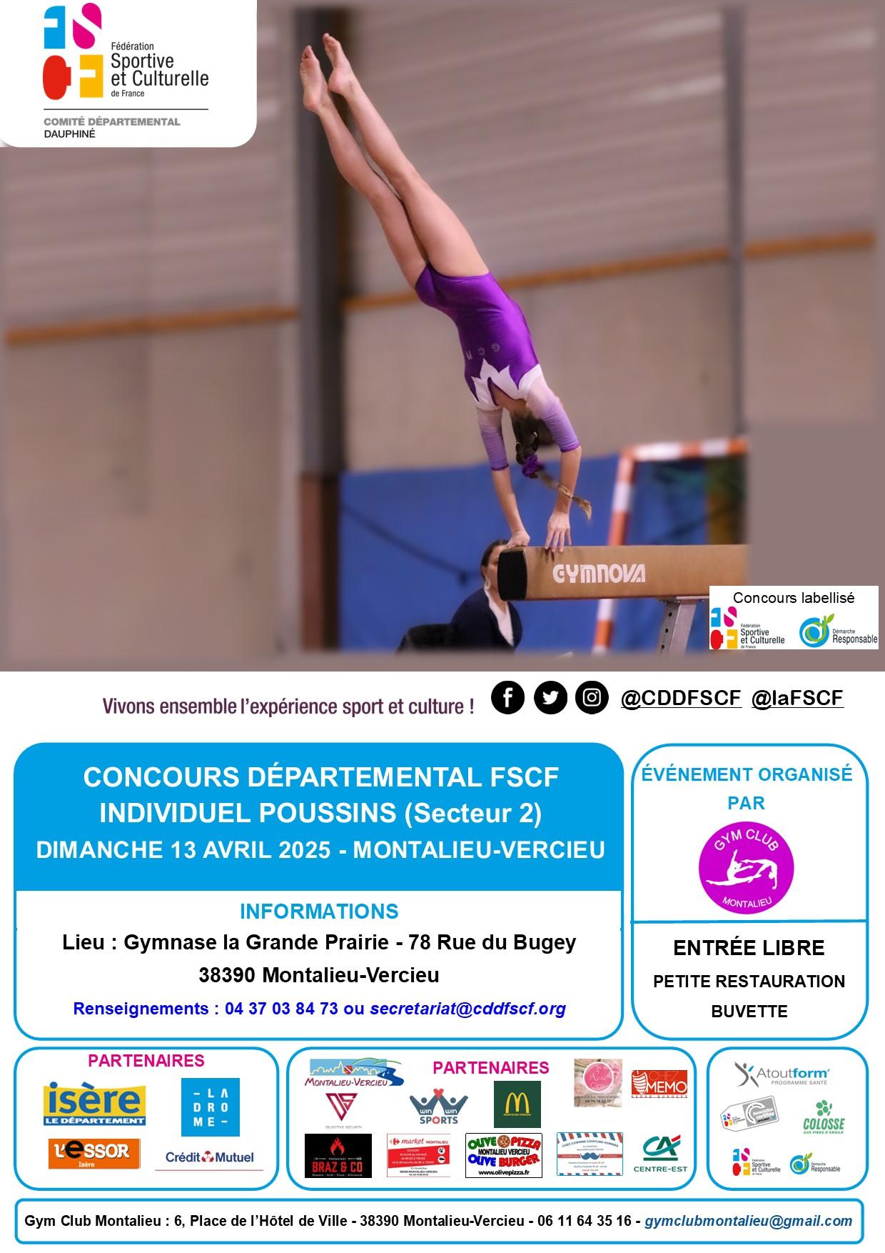 Concours individuel poussins secteur 2